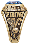 Field Hockey/ Lacrosse