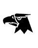 Eagle 1