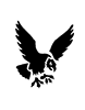 Falcon
