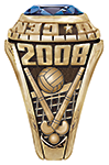 Field Hockey/ Volleyball