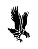 Eagle 2